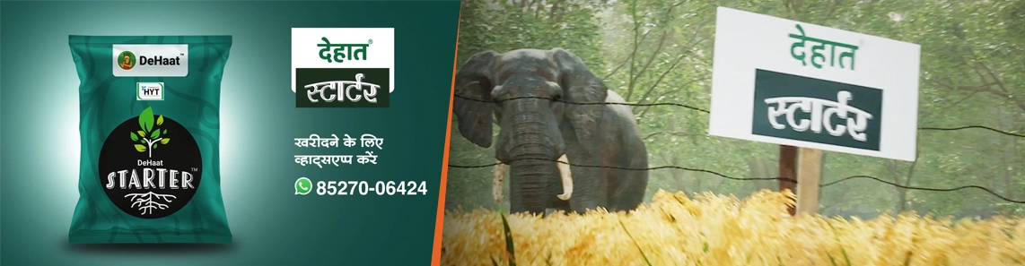 Advertisement for Dehaat starter product with an elephant in the background, symbolizing rural roots and village setting